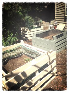 All 3 veggie beds.