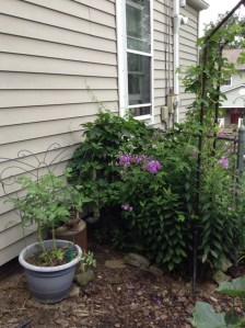 Our South Side Gate.  