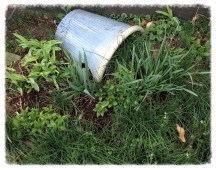 One of the new Toad Houses.