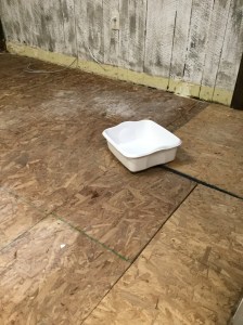 dishpan collecting water from a leaky roof while flood water is receding.